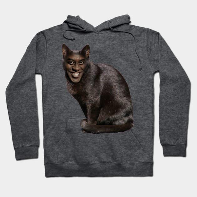 Ainsley Harriott Cat Hoodie by SubtleSplit